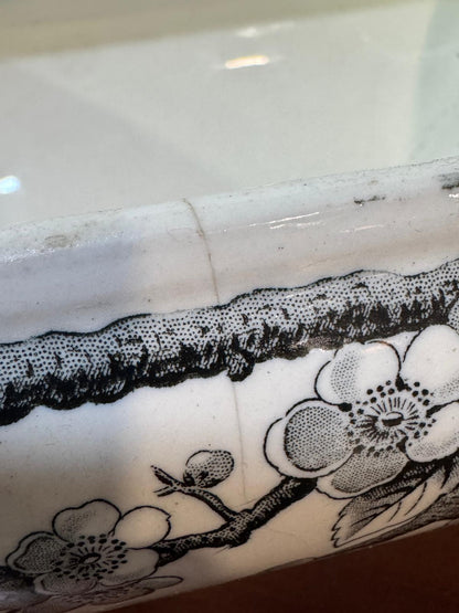 Terrina Faiança Crab Blossom 1883 - Grove & Stark / Gerbing & Stephan