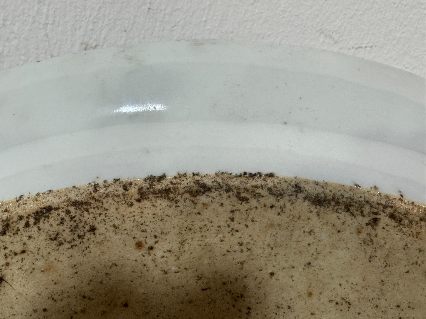 Prato Canton Medalhões Florais - Porcelana Chinesa Século XIX