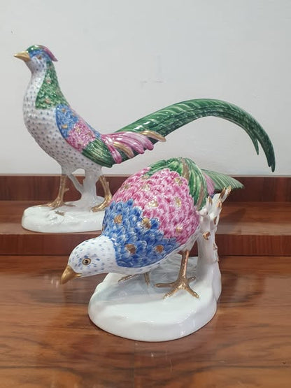 Casal de Faisões – Vista Alegre