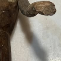 Conjunto de Três Santos Antigos em Madeira Policromada