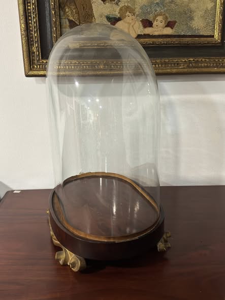 Redoma de Vidro Vitoriana Século XIX com Base em Madeira Torneada