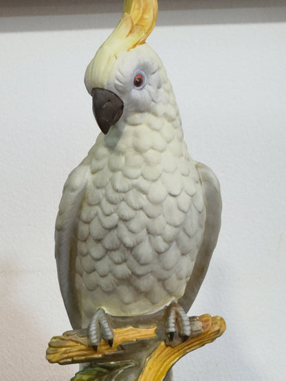 Escultura Cacatua "Américo" em Porcelana Biscuit Vista Alegre