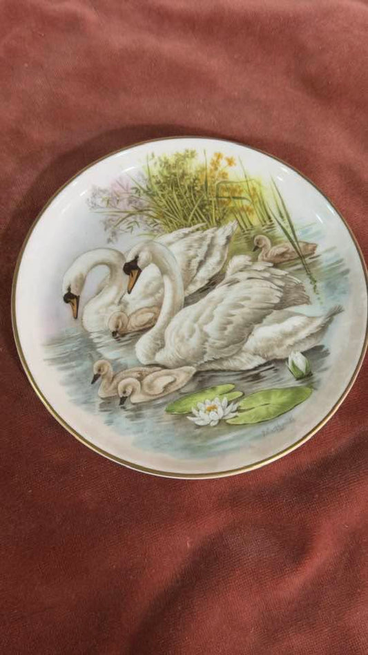 Prato Decorativo de Coleção "Casal de Cisnes" em Porcelana