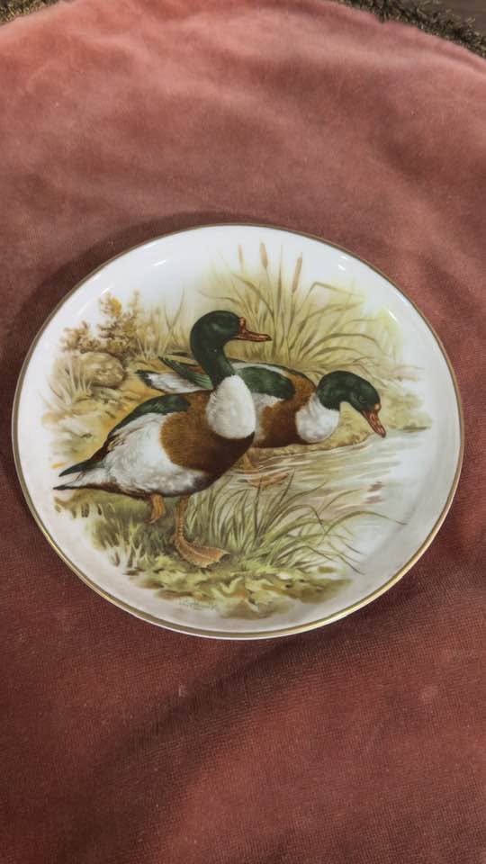 Prato Decorativo de Coleção "Patos Selvagens" em Porcelana