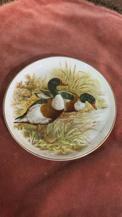 Prato Decorativo de Coleção "Patos Selvagens" em Porcelana