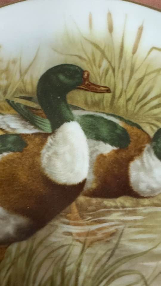 Prato Decorativo de Coleção "Patos Selvagens" em Porcelana