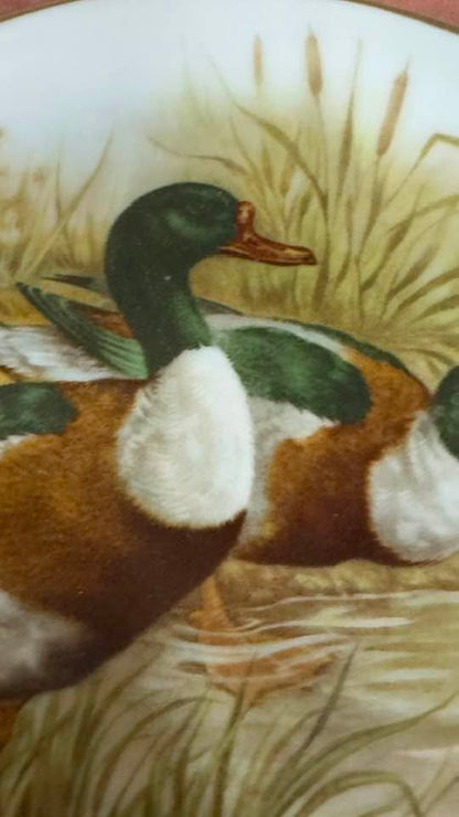 Prato Decorativo de Coleção "Patos Selvagens" em Porcelana