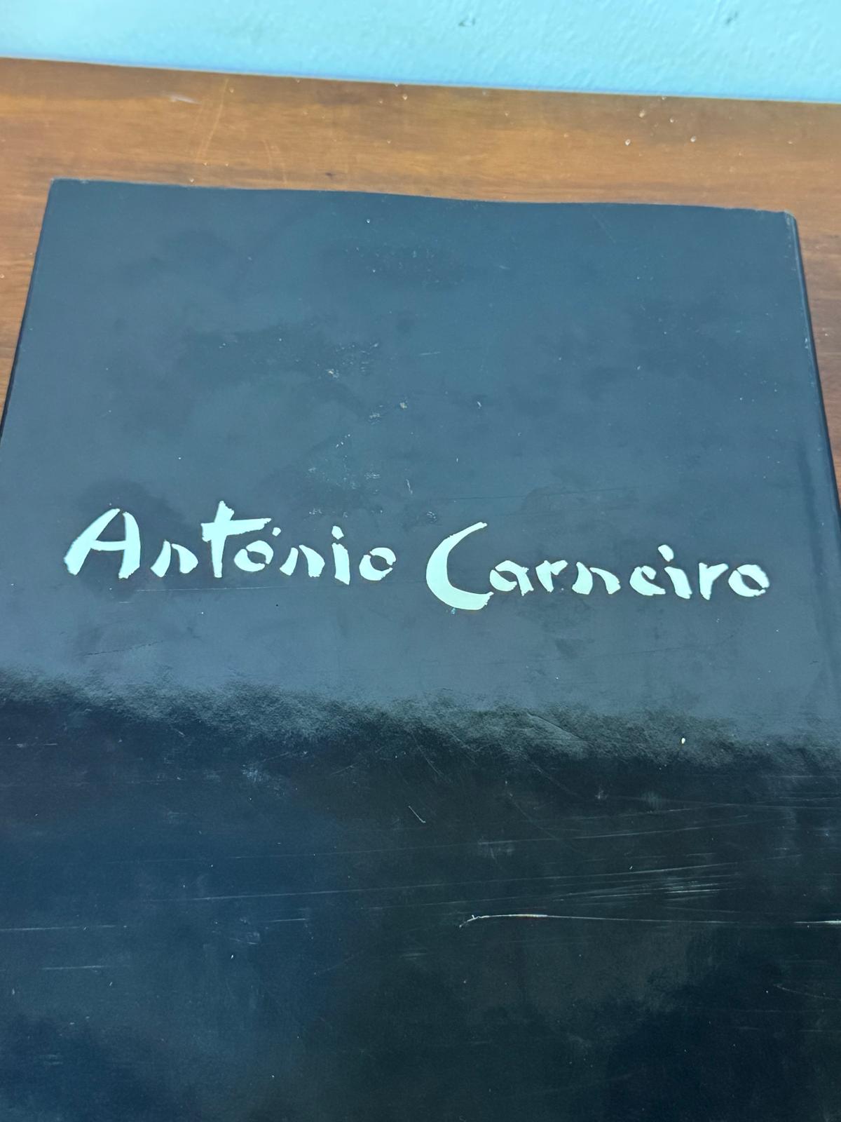 António Carneiro - Laura Castro - Livro de Arte sobre Pintor Português