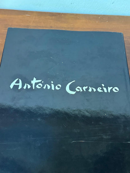António Carneiro - Laura Castro - Livro de Arte sobre Pintor Português