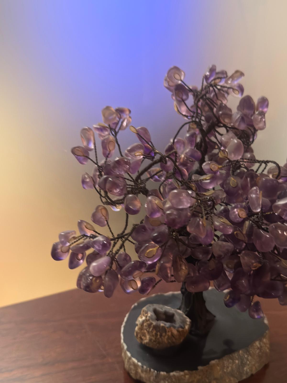 Árvore Decorativa Ametista Natural com Base em Geodo