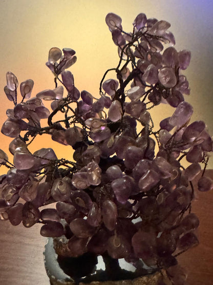 Árvore Decorativa Ametista Natural com Base em Geodo