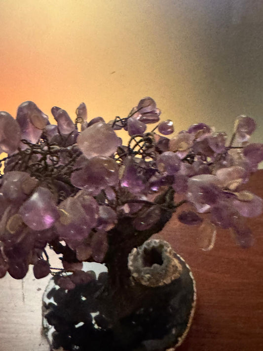 Árvore Decorativa Ametista Natural com Base em Geodo